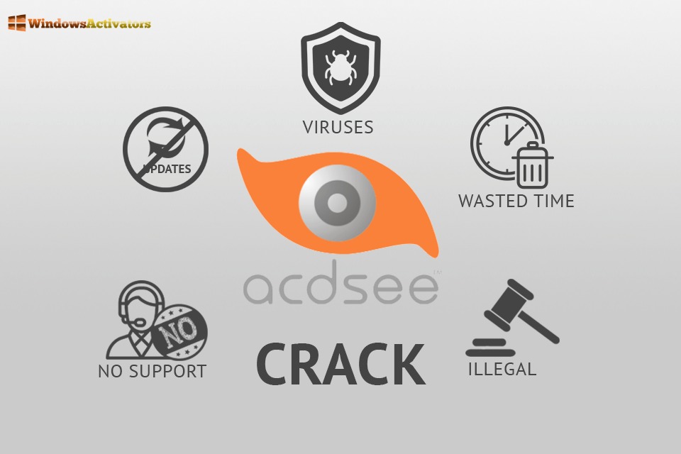 Acdsee Pro free download-ink