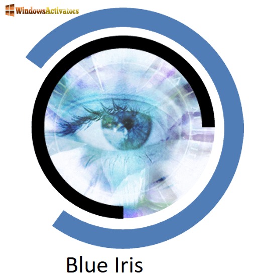 Blue Iris free-ink