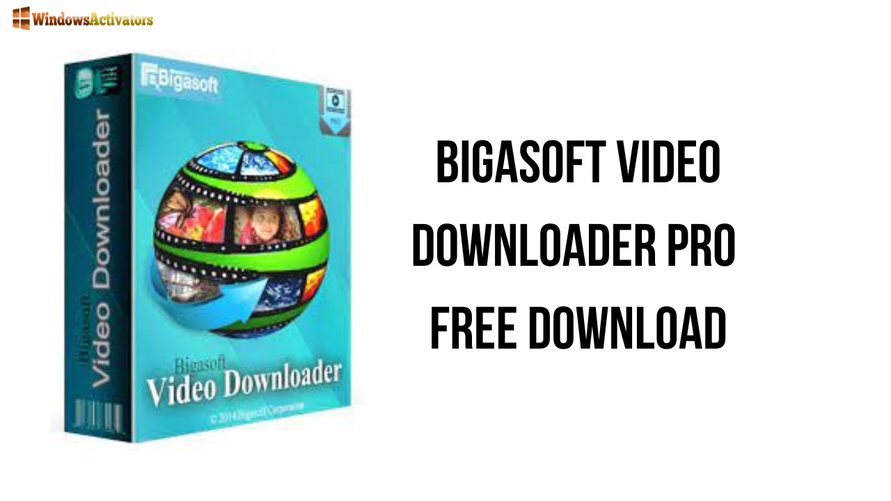 Bigasoft Video Downloader Pro-ink